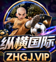 纵横国际